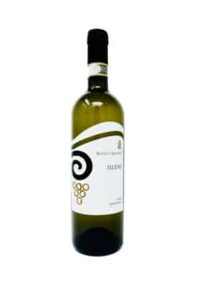 Fior-d'Arancio-secco-DOCG-Colli-Euganei-Silene-BIO