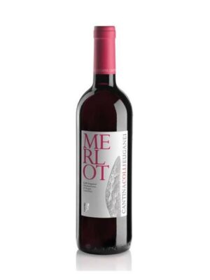 Merlot Colli Euganei Doc