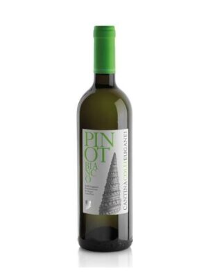 Pinot Bianco Colli Euganei DOC