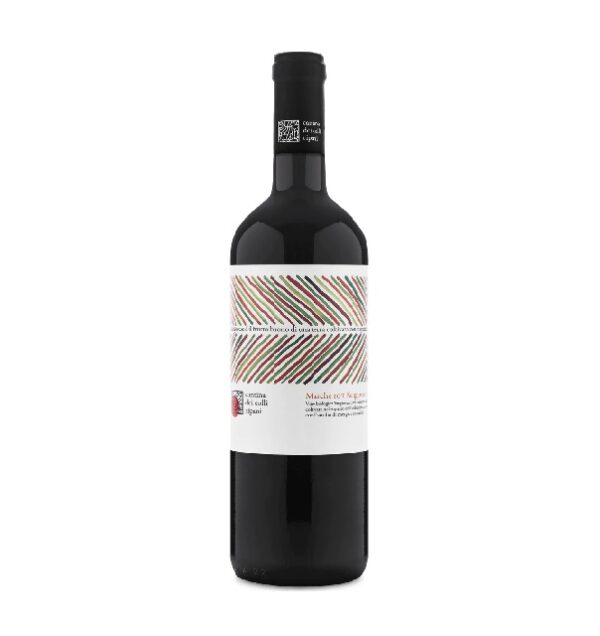 Marche-Sangiovese-Igt